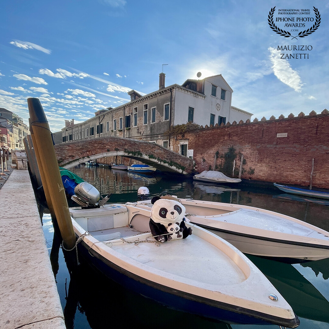In Venice, as is well known, you get around on foot or by boat. And it is by boat, called "mototopo" by the Venetians, that the goods are moved. Pandas included...