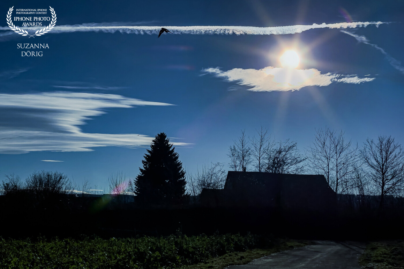 Let’s go outside.<br />
<br />
In Switzerland 🇨🇭 sometime there is a warm wind and the clouds look like the one on the left side. What I thought it was special in the scene is the bird crossing the path of the airplanes far above in the sky.
