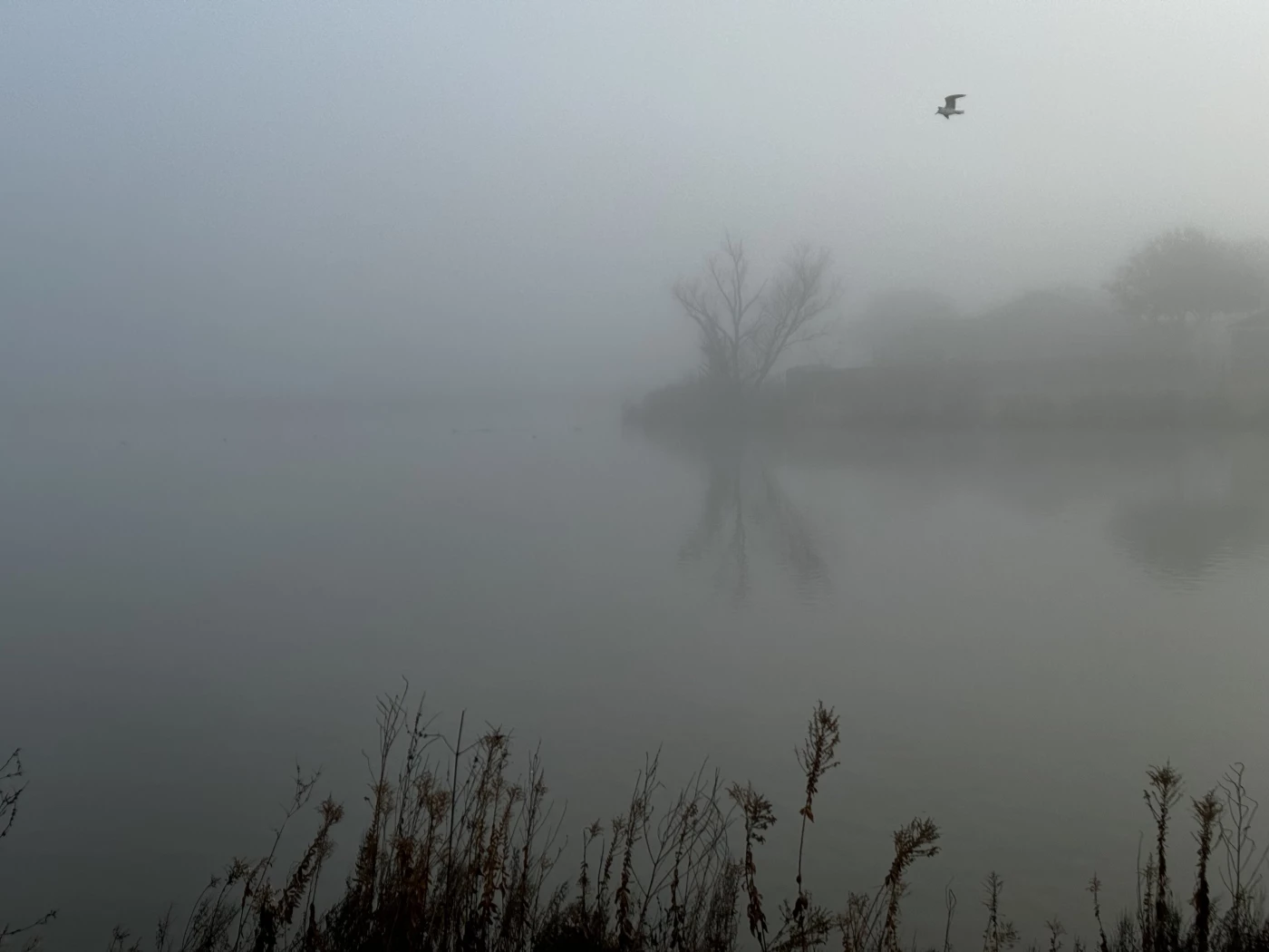 A beautiful fall fog descends on the Deer Creek pond in Crowley, Texas, USA.