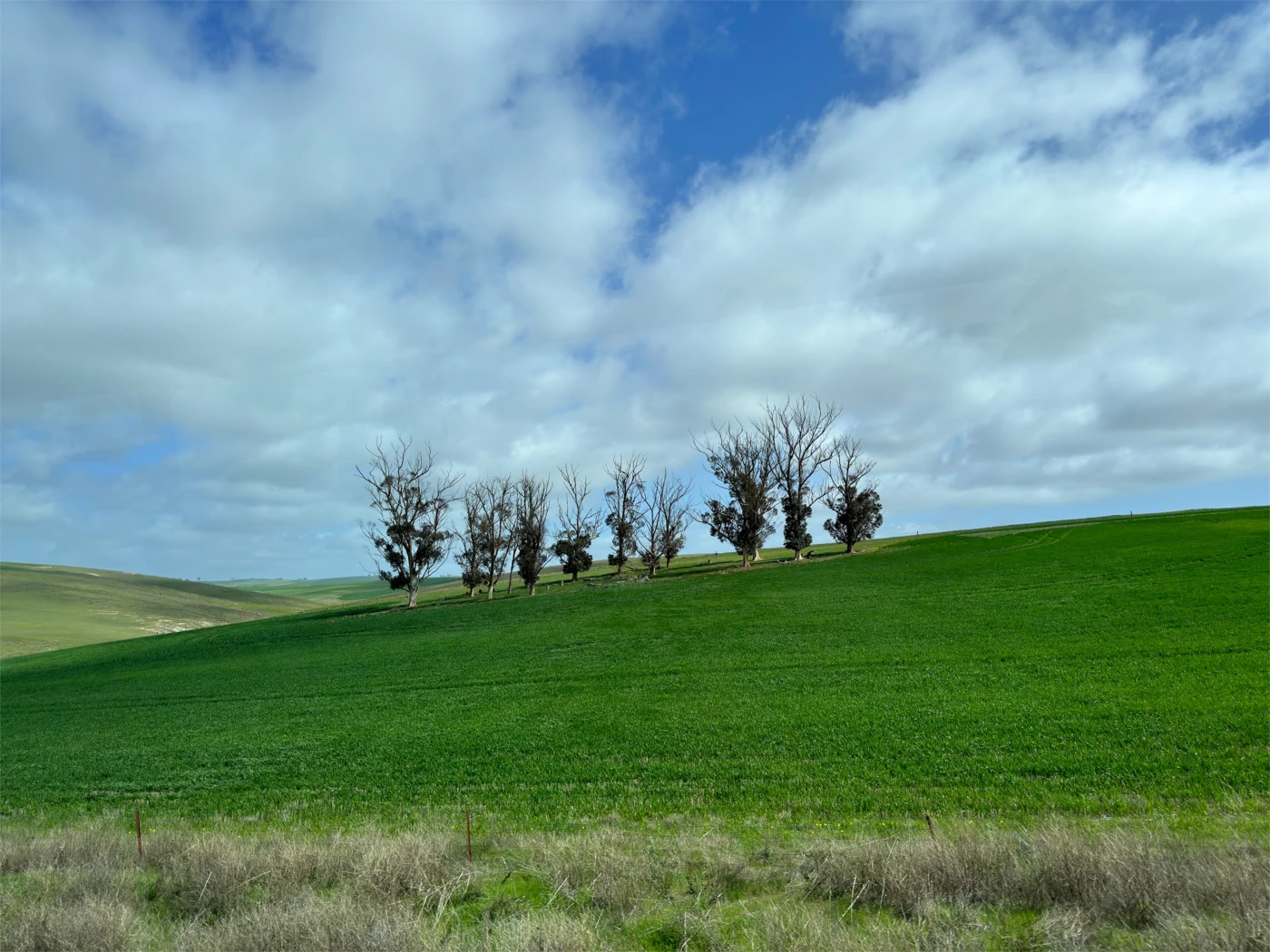 We recently visited the State of South Australia and marvelled at the beauty of the Flinders Ranges....