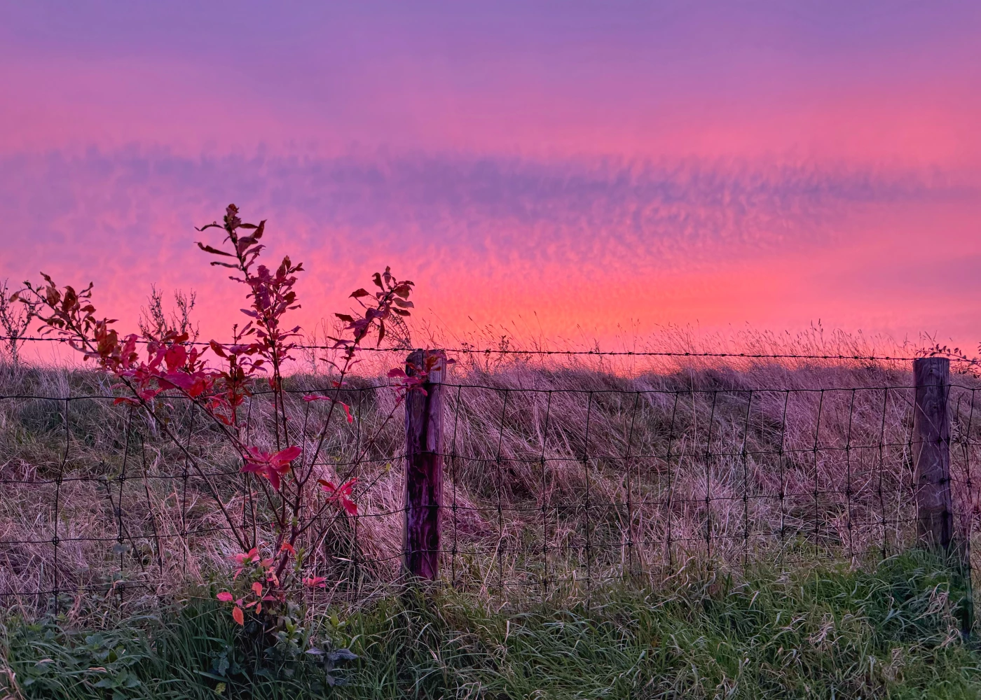 Enjoying a beautiful sunset on my morning walk.