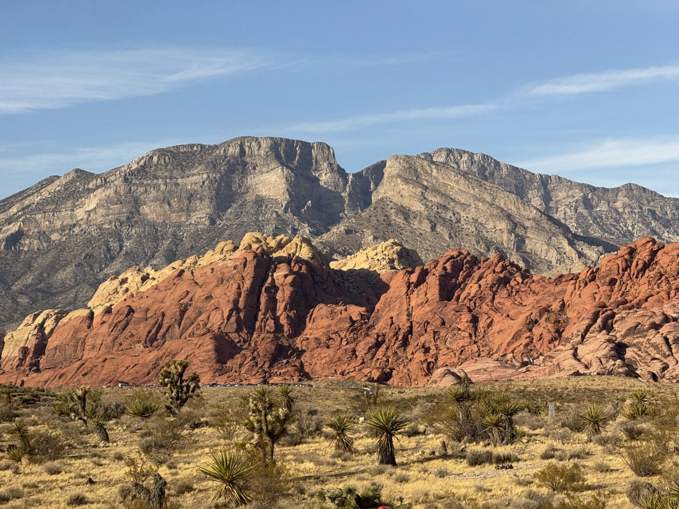 The angle of the sunlight really lit up Red Rock Canyon, Las Vegas.