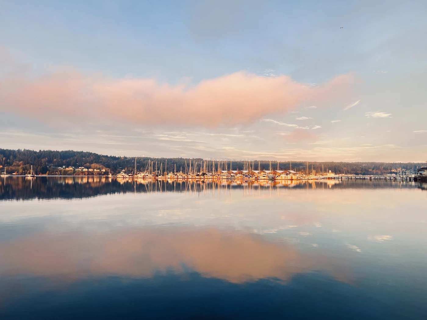 Fog rising to this beautiful sky and the clouds reflecting off of the water and marina creating a be...