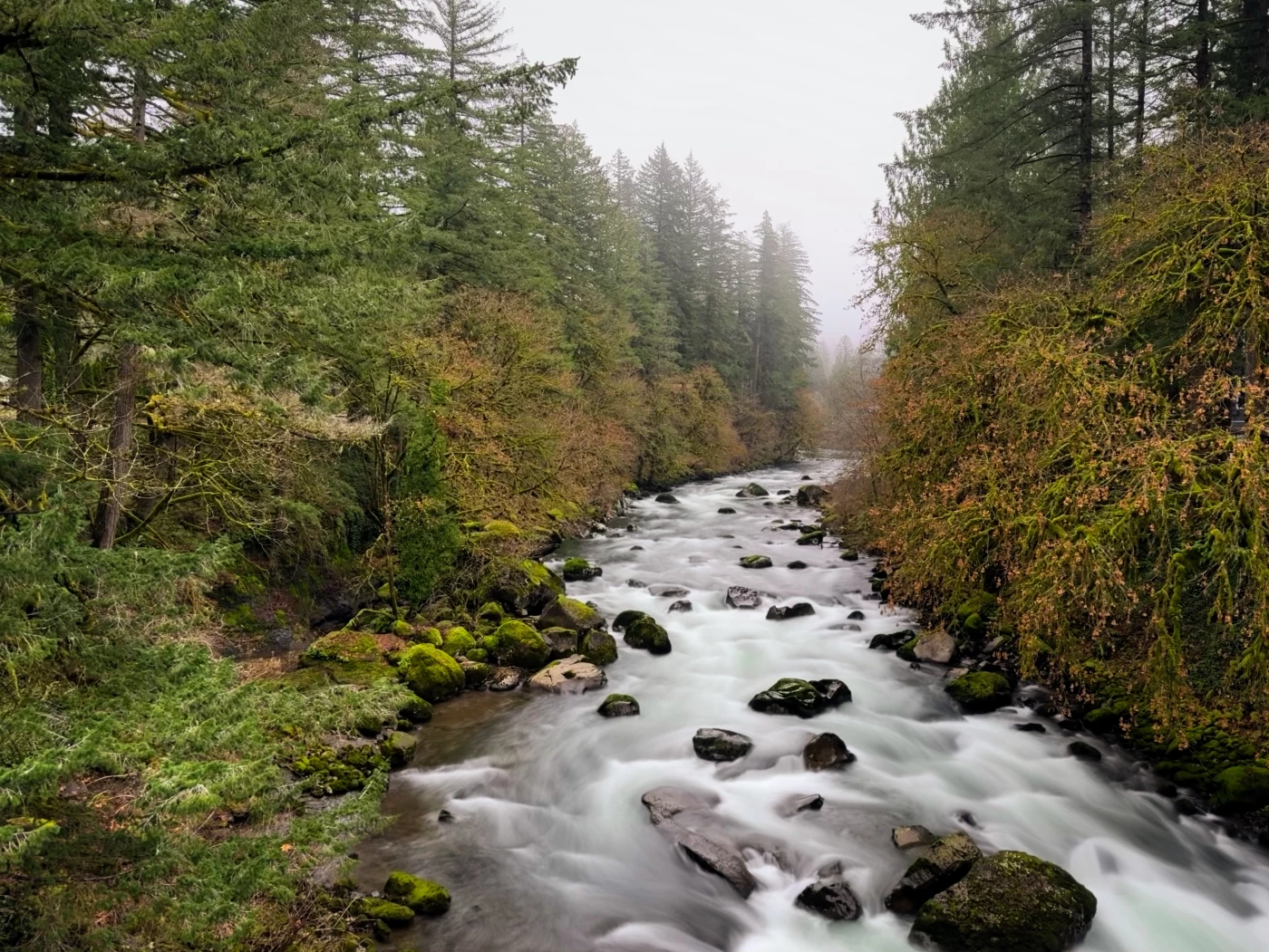 East Fork of the Lewis River, Washington State.