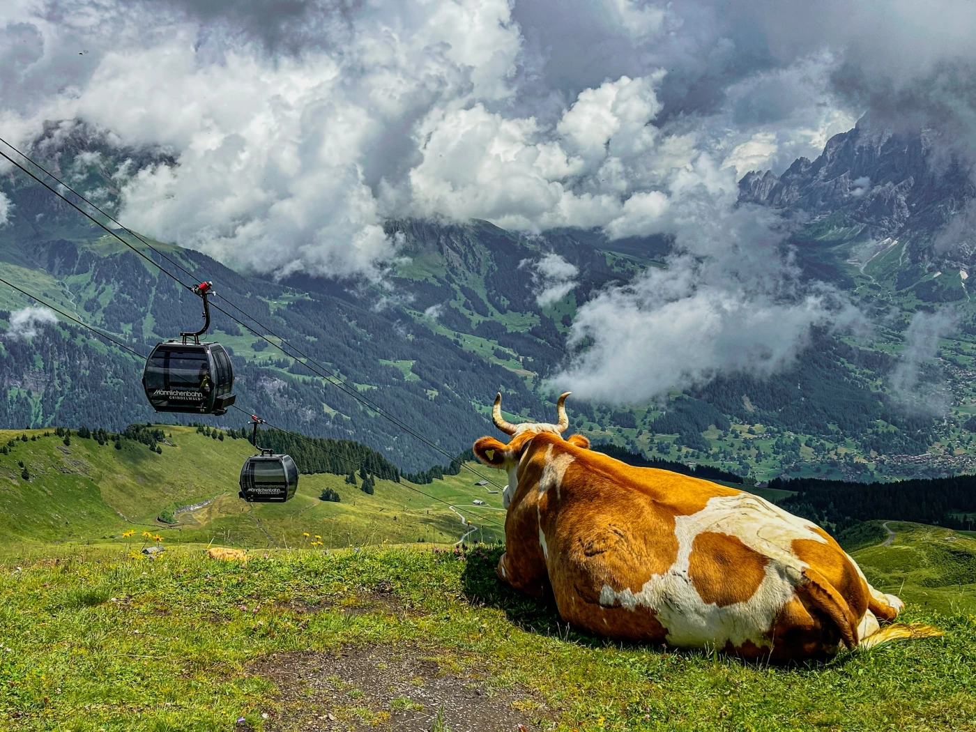 Watching the Cars Go By
Mannlichen, Switzerland