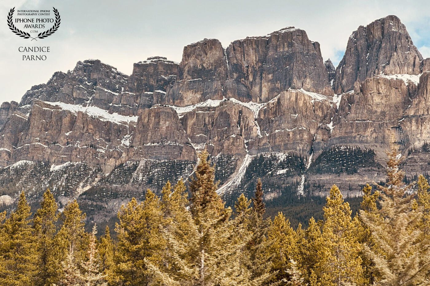 I can’t count how many photos of the beautiful Rocky Mountains I have taken over the years…this one was just outside of Lake Louise, Alberta.