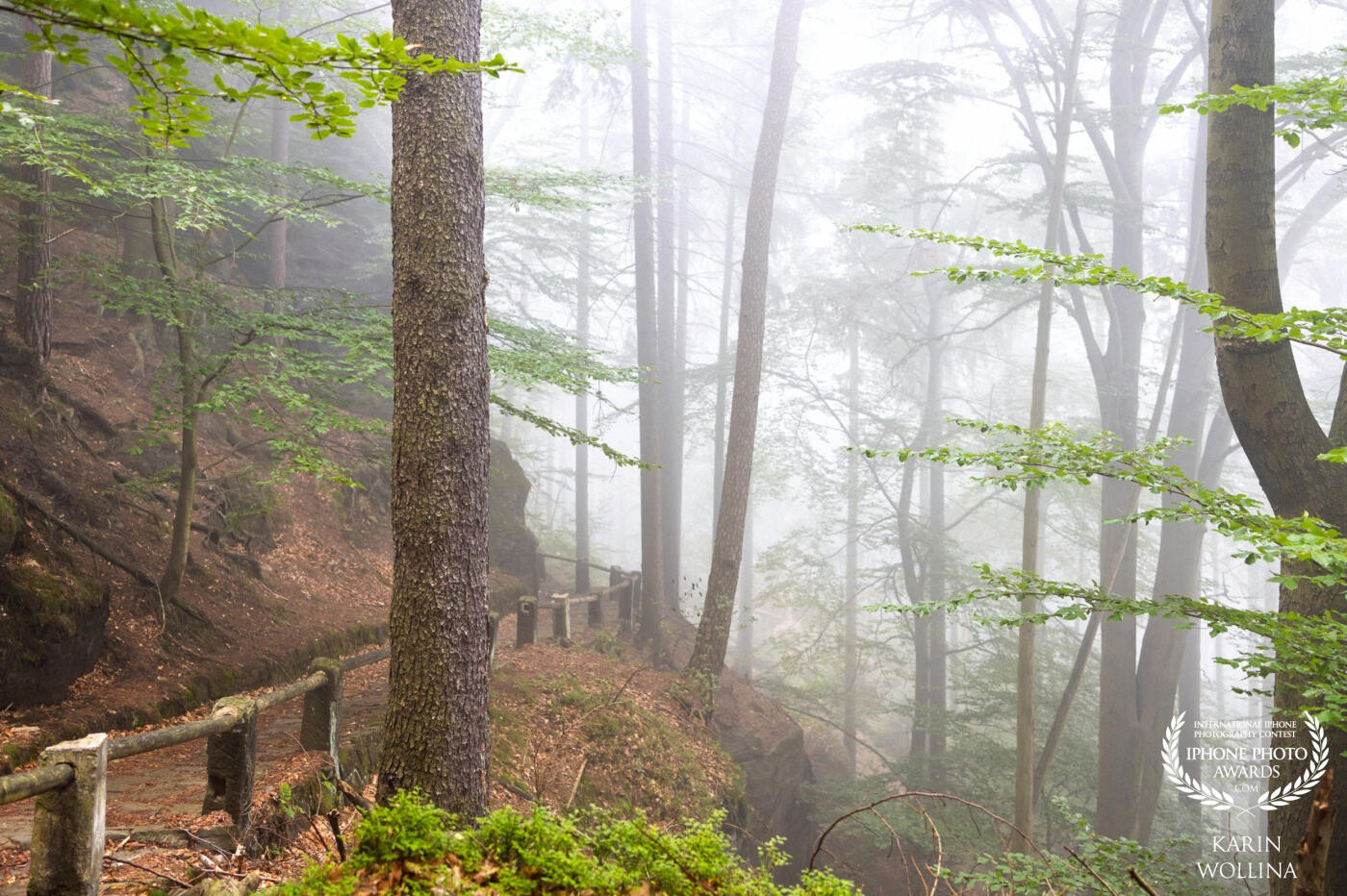 That is a very foggy morning in the bohemian Switzerland mountains in autumn, one of our favorite hikes