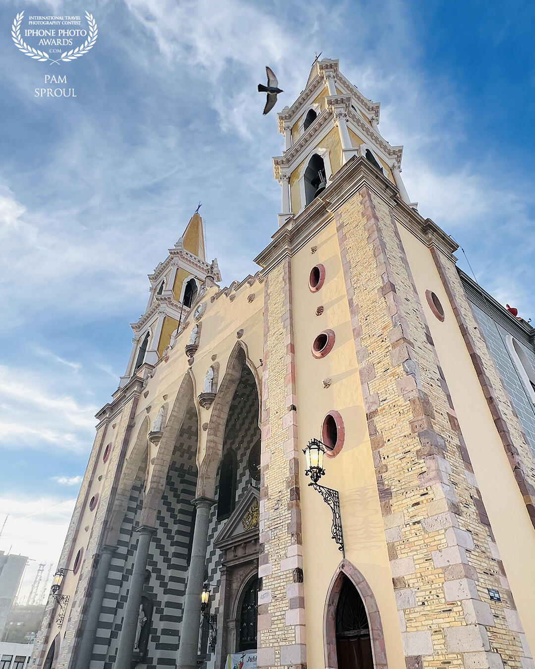 Stumbled on this beautiful chapel in old town Mazatlan and as we were admiring it this beautiful bird flew by and made the shot<br />
<br />
“Chappila”-2025