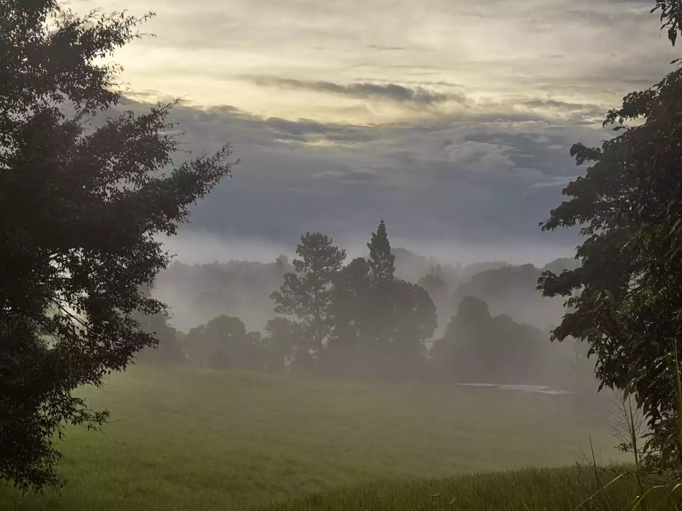 Misty morning on the farm in Far North Queensland