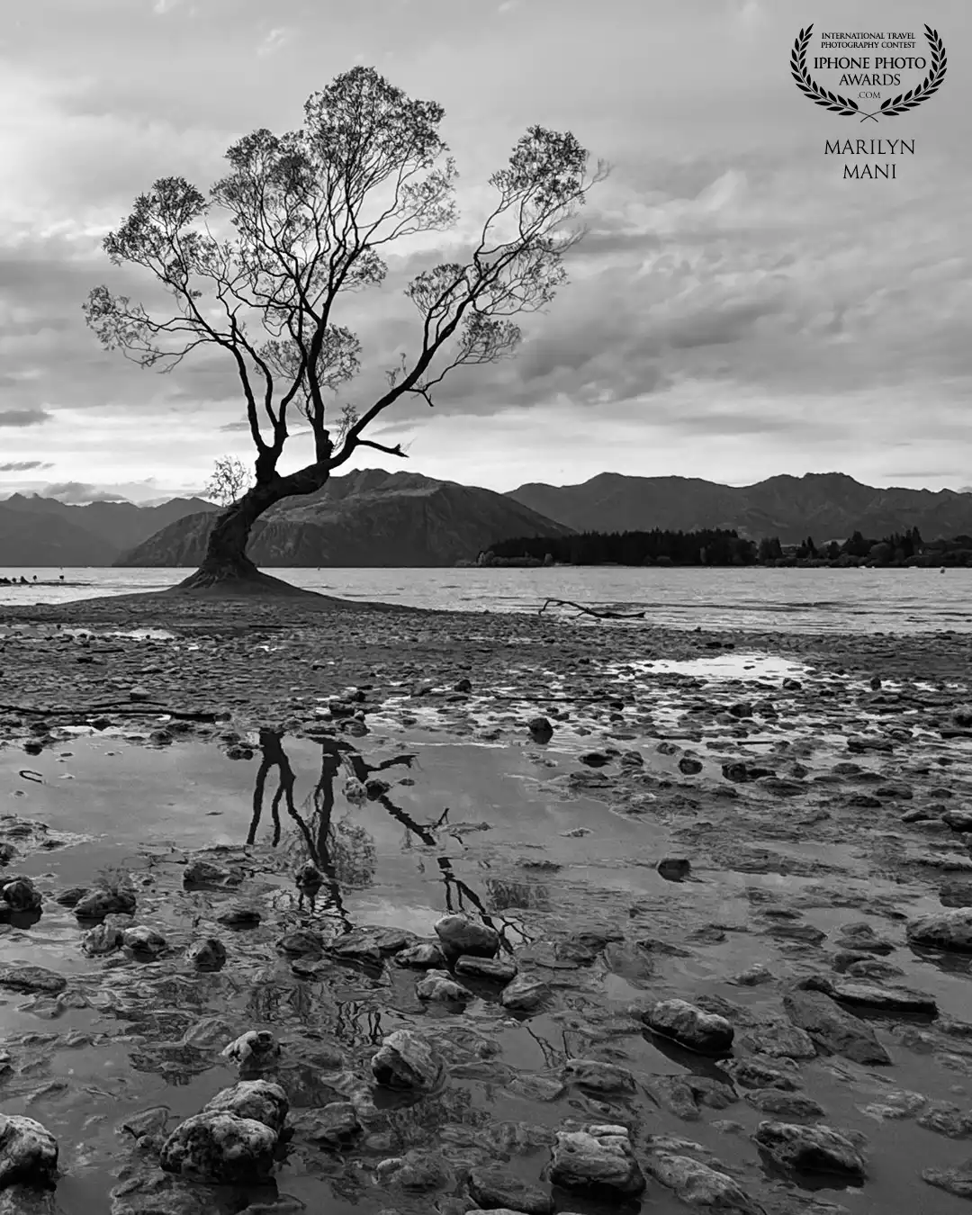 A dream come true moment to capture the Wanaka Tree in New Zealand. The beauty is beyond what can be captured