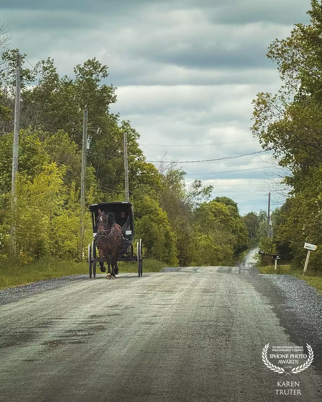 Quiet back roads of Sterling, Ontario border the Amish Farms. I respectfully took this photo, maintaining distance for their privacy.