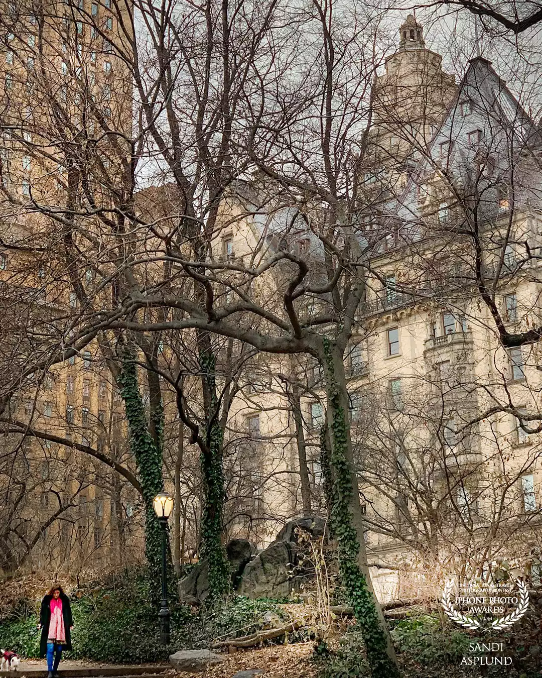 Upper West Side view by Central Park, Manhattan, NYC. The historic (and famous) Dakota Apartment Building is in the background.